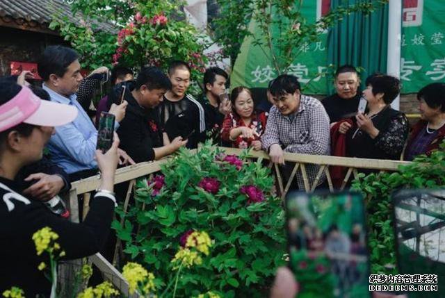 同样被“围拍”，为何大衣哥越来越火，而拉面哥却走下神坛？