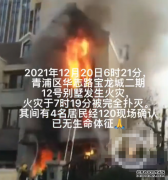 上海一别墅凌晨火灾4人死亡，母亲将孩子