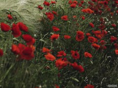 /uploads/allimg/211227/1A61352a-0-lp.jpg