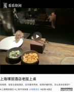 吓到尖叫！五星级酒店惊现老鼠爬上桌