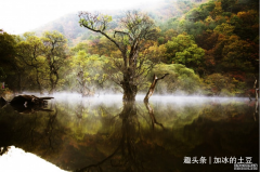 /uploads/allimg/220122/12512M254-0-lp.png