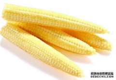 爱美女性身体好，都在吃的食物，排毒养
