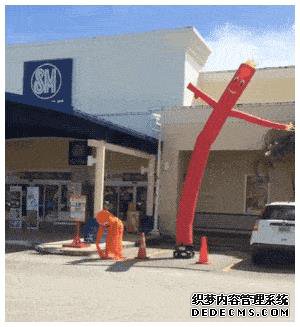 5.gif