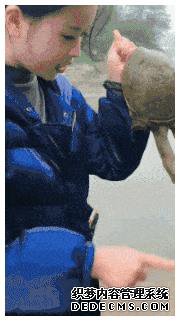 2.gif
