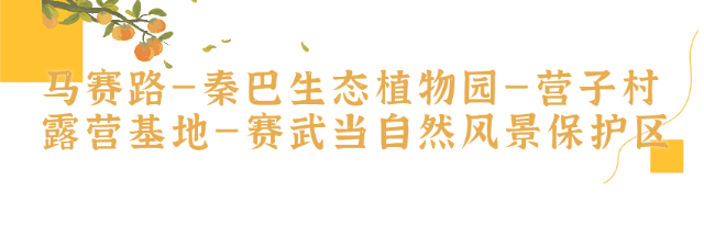 国庆假期，在茅箭遇见最美秋色