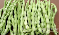 7种蔬菜家里经常煮，竟然有毒！