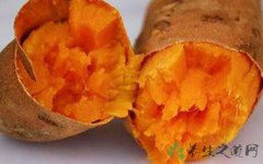 上班胃疼吃什么零食