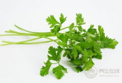 香菜虽然“臭”，但它的养生作用很多