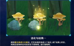 原神枯萎的星蕈怎么获得 枯萎的星蕈获取