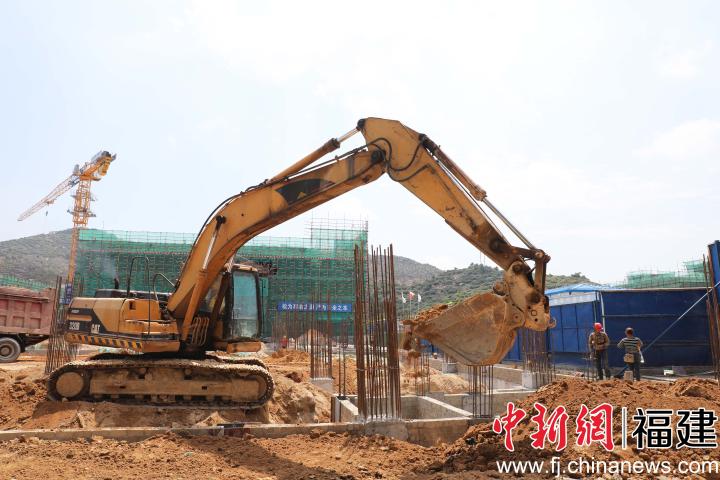产业园内塔吊、挖掘机等大型机械正在作业。林洁摄