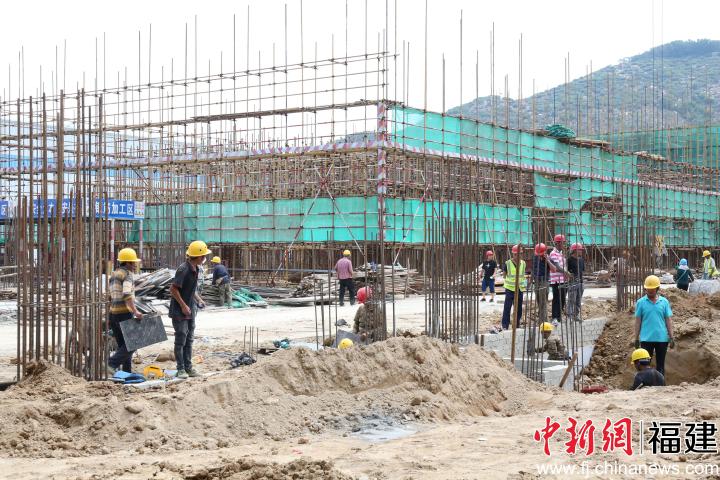 产业园内工人们正在抢抓工期施工。林洁摄
